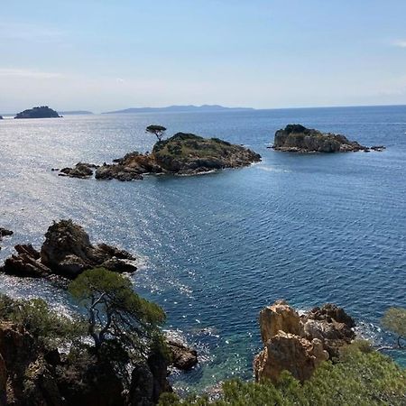 Atelierchic Bed and Breakfast Le Lavandou Εξωτερικό φωτογραφία