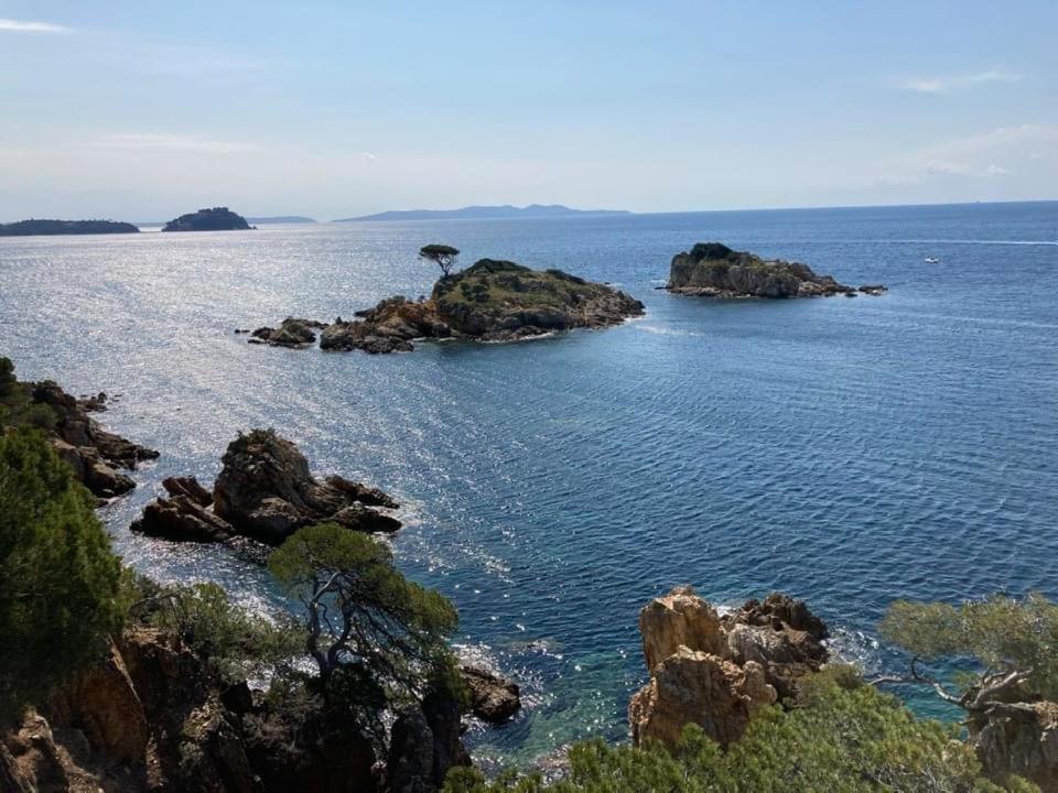 Atelierchic Bed and Breakfast Le Lavandou Εξωτερικό φωτογραφία